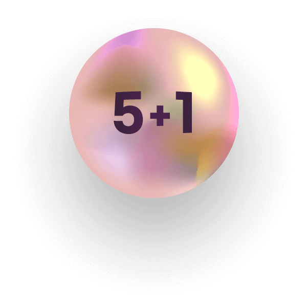 5+1
